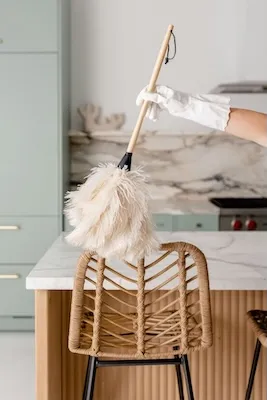 Cleaning Image